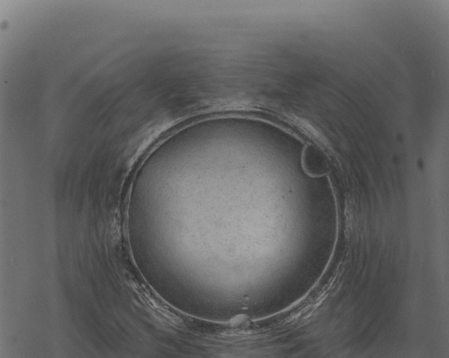 X0000068831212200605121332