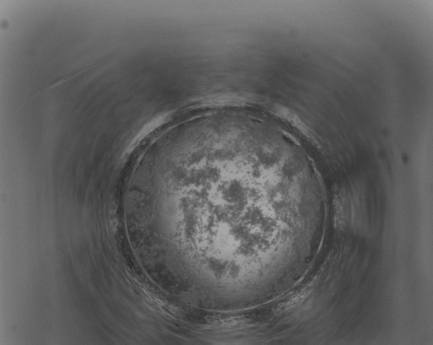 X0000068831213200605121332