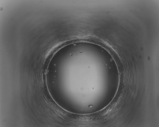 X0000068831214200605121332