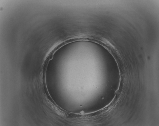 X0000068831216200605121333