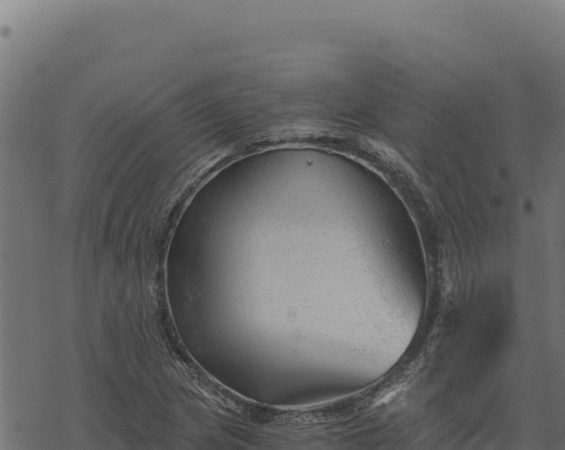 X0000068831217200605121333