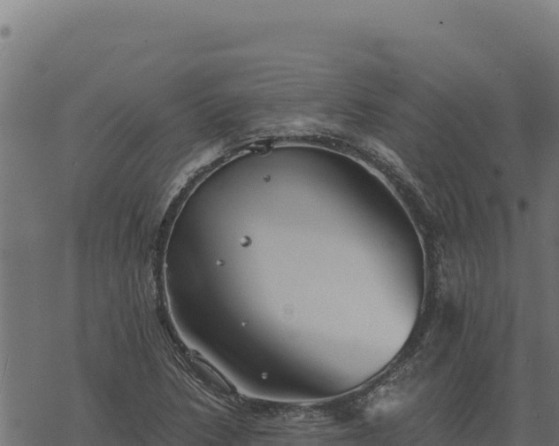 X0000068831218200605121333