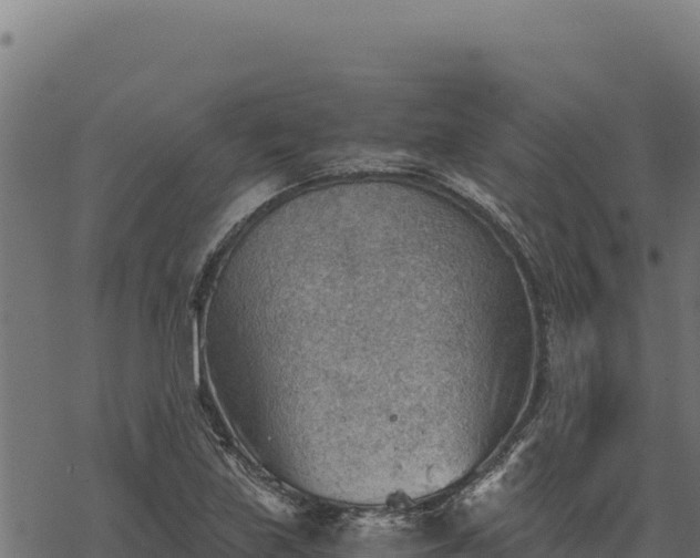 X0000068831219200605121333