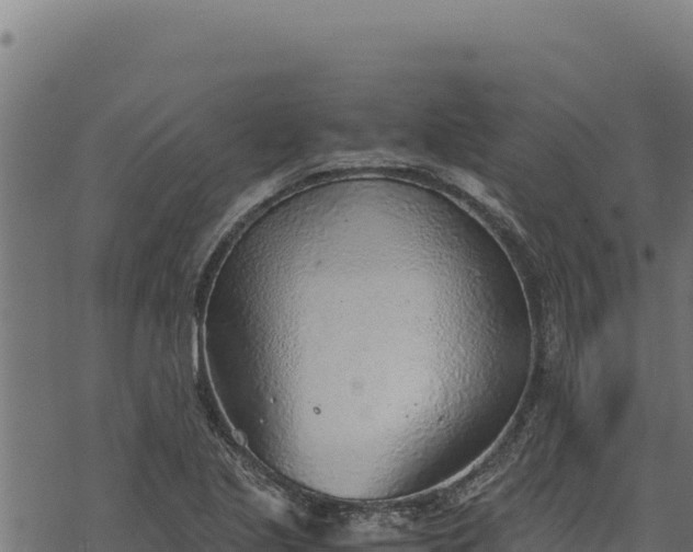 X0000068831221200605121333