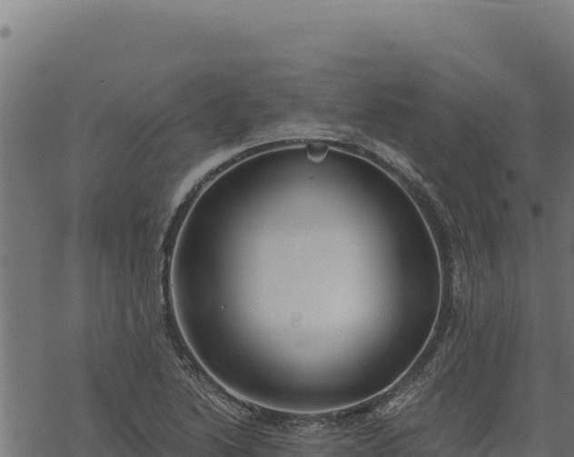 X0000068831222200605121333