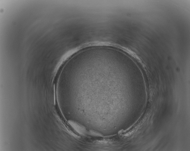 X0000068831223200605121333