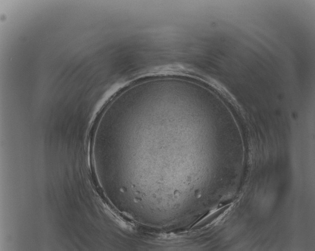 X0000068831224200605121333