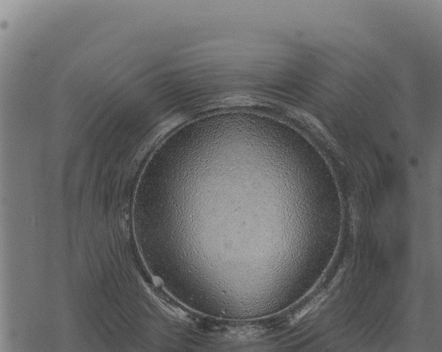 X0000068831225200605121333