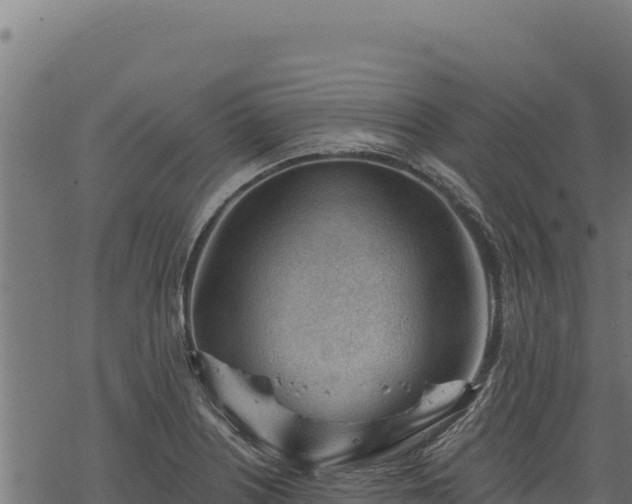 X0000068831226200605121333