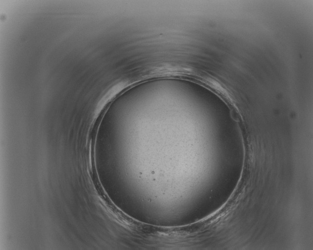 X0000068831227200605121333