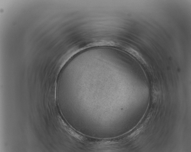 X0000068831228200605121333