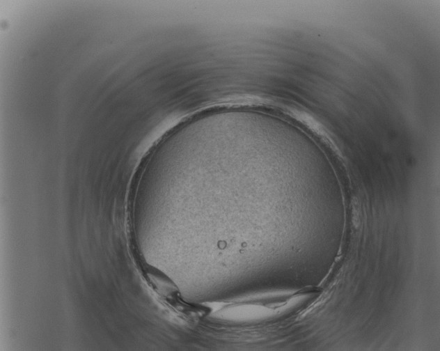 X0000068831229200605121333