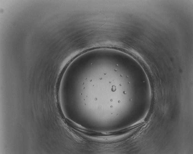 X0000068831230200605121333