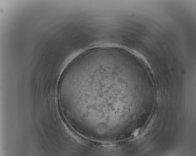 X0000068831231200605121333