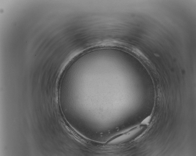 X0000068831232200605121333