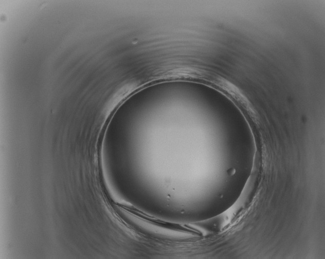 X0000068831234200605121333