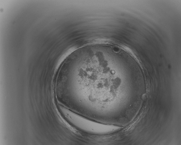 X0000068831235200605121333