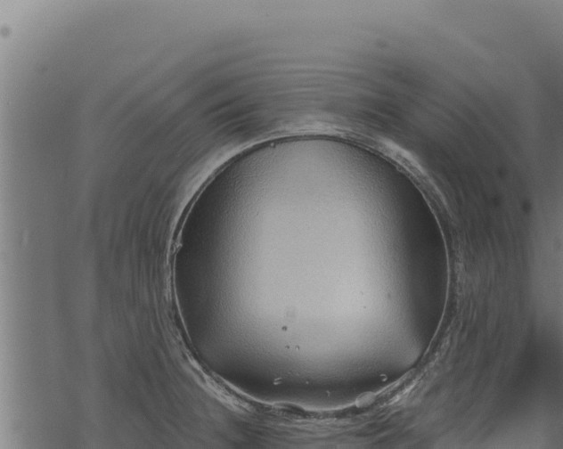 X0000068831236200605121333