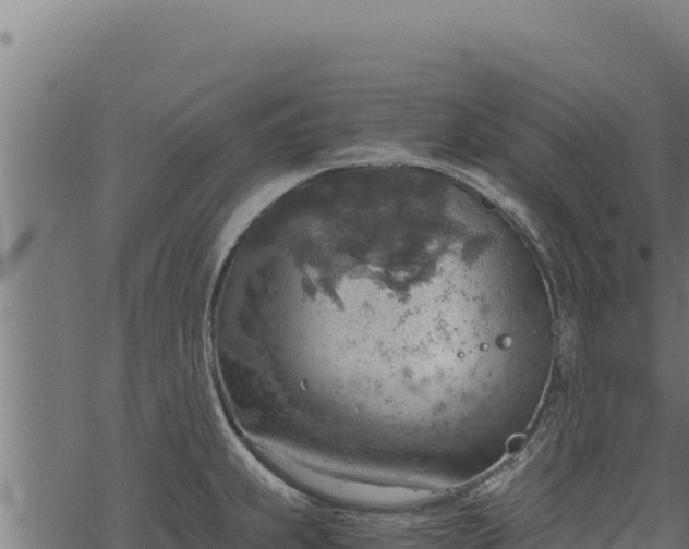 X0000068831239200605121333