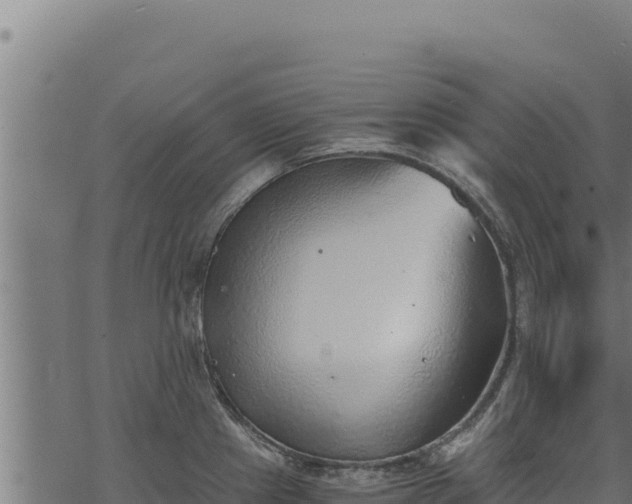 X0000068831241200605121333