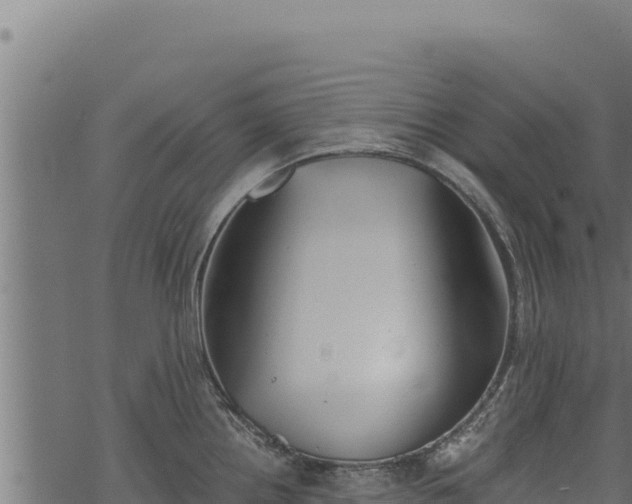 X0000068831242200605121333