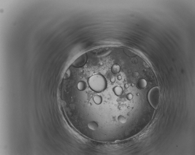 X0000068831243200605121333