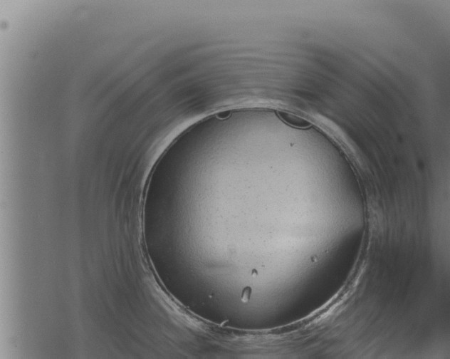 X0000068831244200605121333