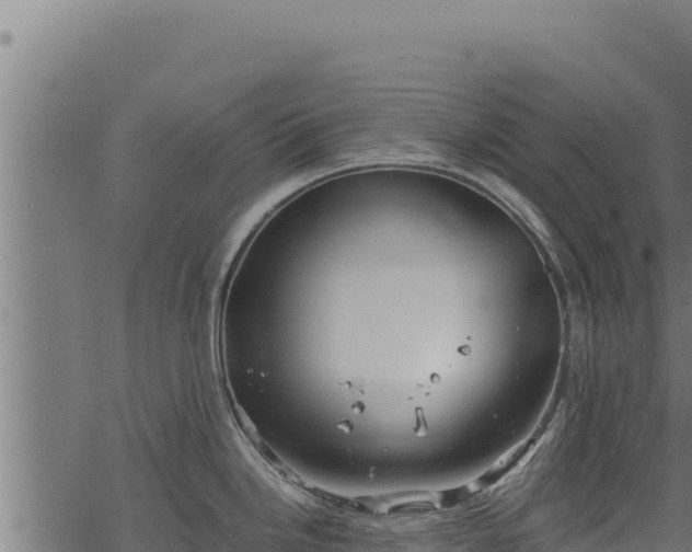 X0000068831246200605121333