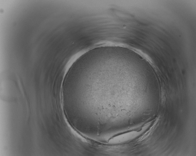 X0000068831247200605121333