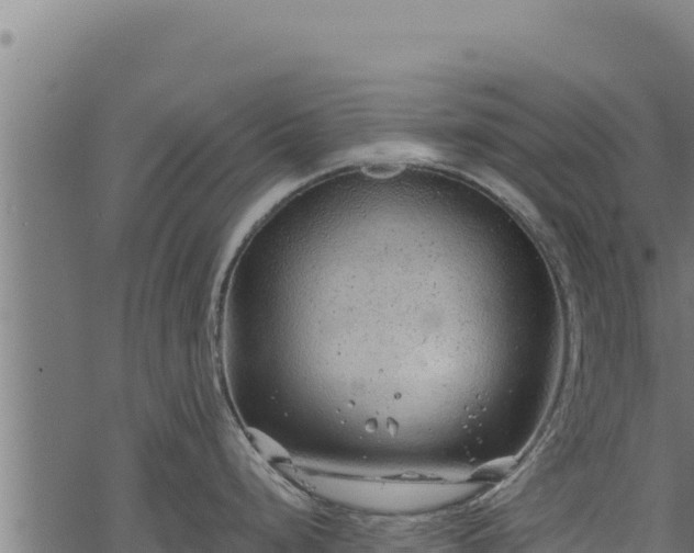 X0000068831248200605121333