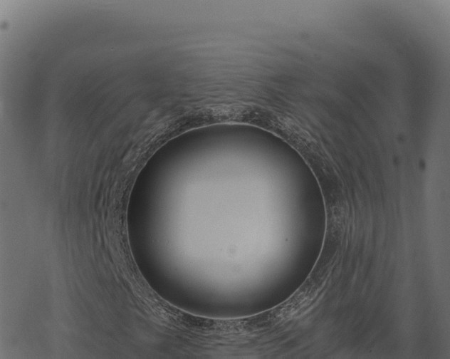 X0000068831249200605121332