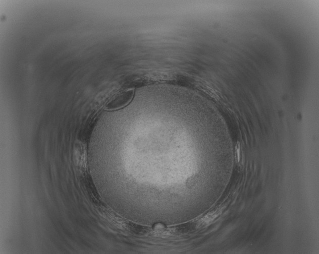 X0000068831251200605121332