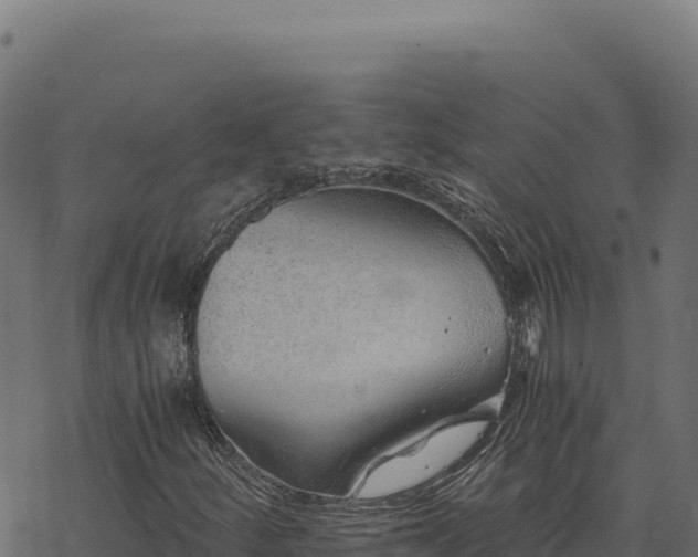 X0000068831252200605121332