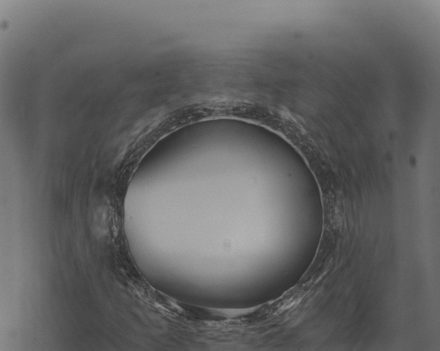 X0000068831253200605121332