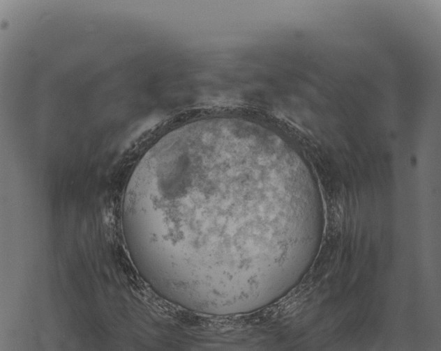 X0000068831254200605121332