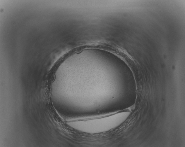 X0000068831256200605121332