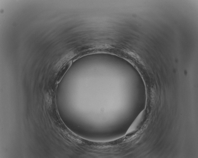 X0000068831257200605121332