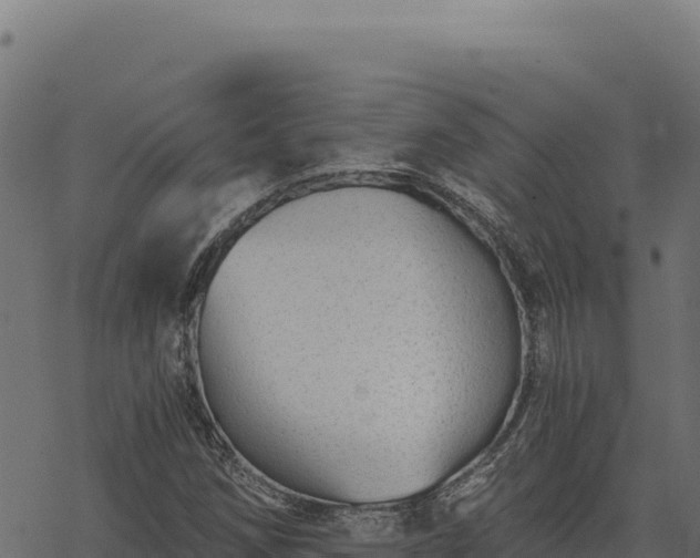 X0000068831258200605121332