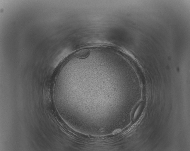 X0000068831259200605121332