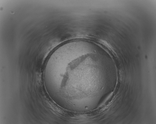 X0000068831260200605121332