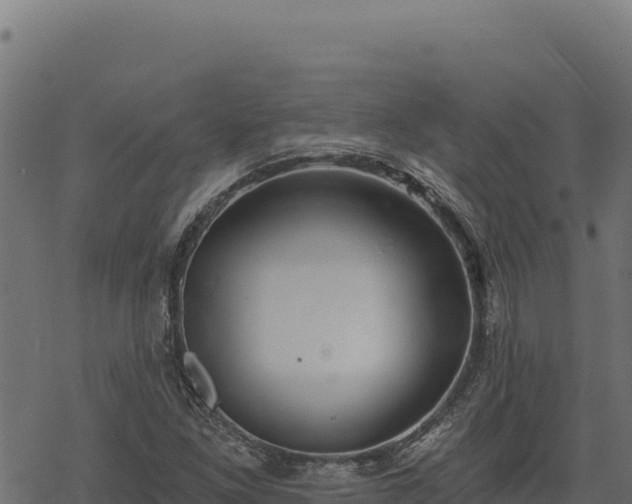 X0000068831261200605121332