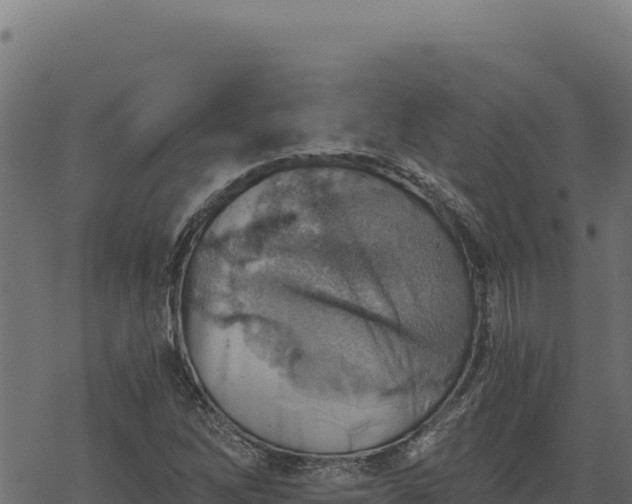 X0000068831262200605121332