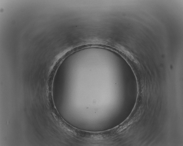 X0000068831264200605121332