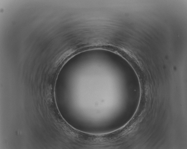 X0000068831265200605121332