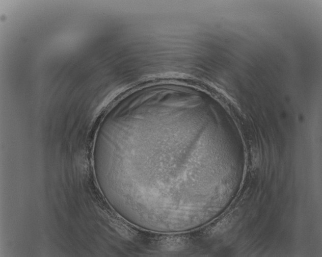 X0000068831266200605121332