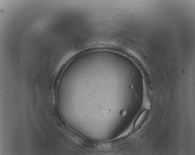 X0000068831267200605121332