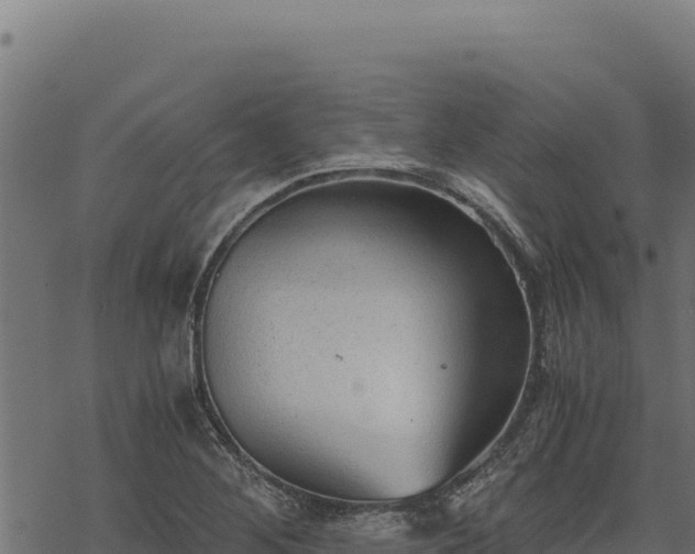 X0000068831268200605121332