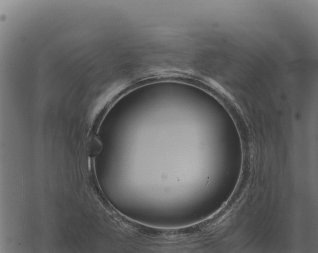 X0000068831269200605121332