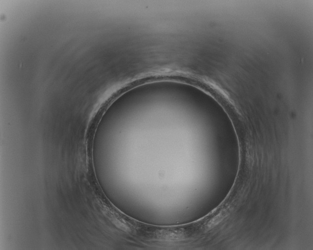 X0000068831270200605121332