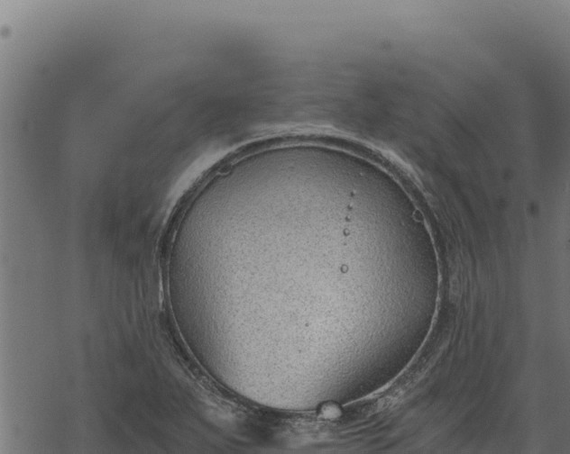 X0000068831271200605121332